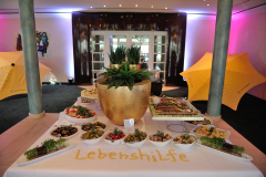 20160618-241 Lebenshilfe